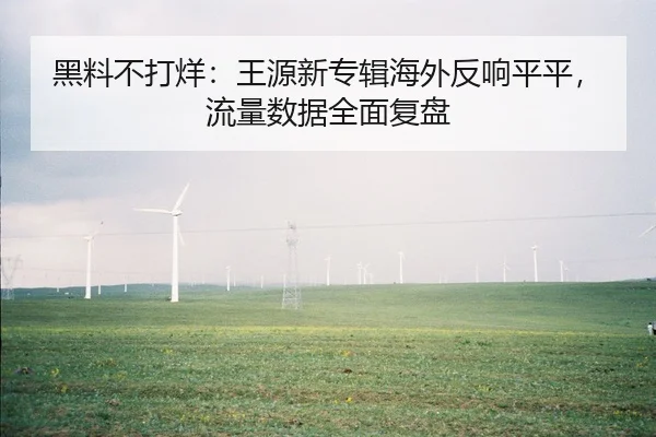 黑料不打烊：王源新专辑海外反响平平，流量数据全面复盘